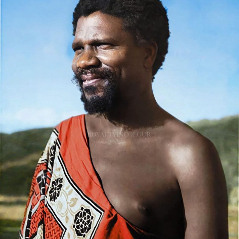 WhatsApp Image 2025-06-12 at 16.28.13