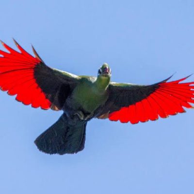 WhatsApp Image 2025-06-12 at 16.28.16