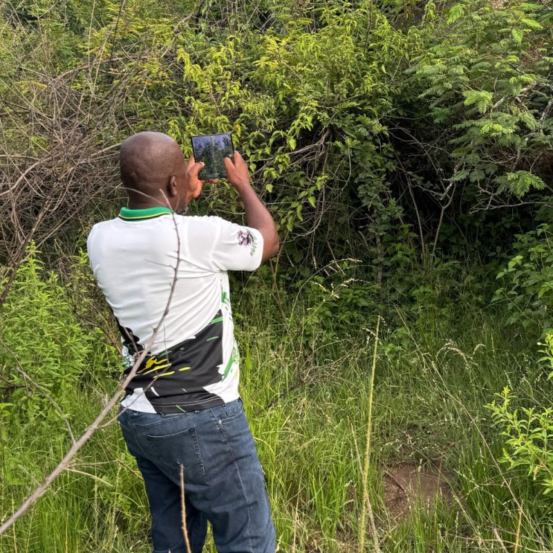 WhatsApp Image 2025-06-12 at 16.28.17 (1)