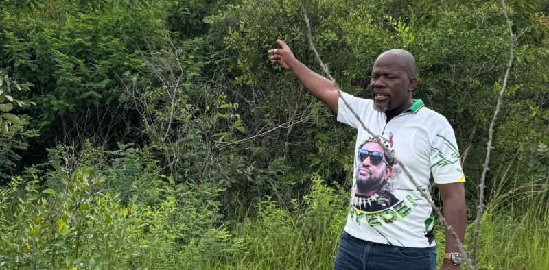 WhatsApp Image 2025-06-12 at 16.28.17